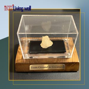 سنگ راف تزیینی