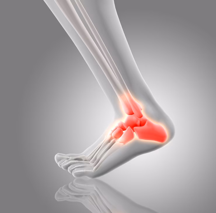 ankle